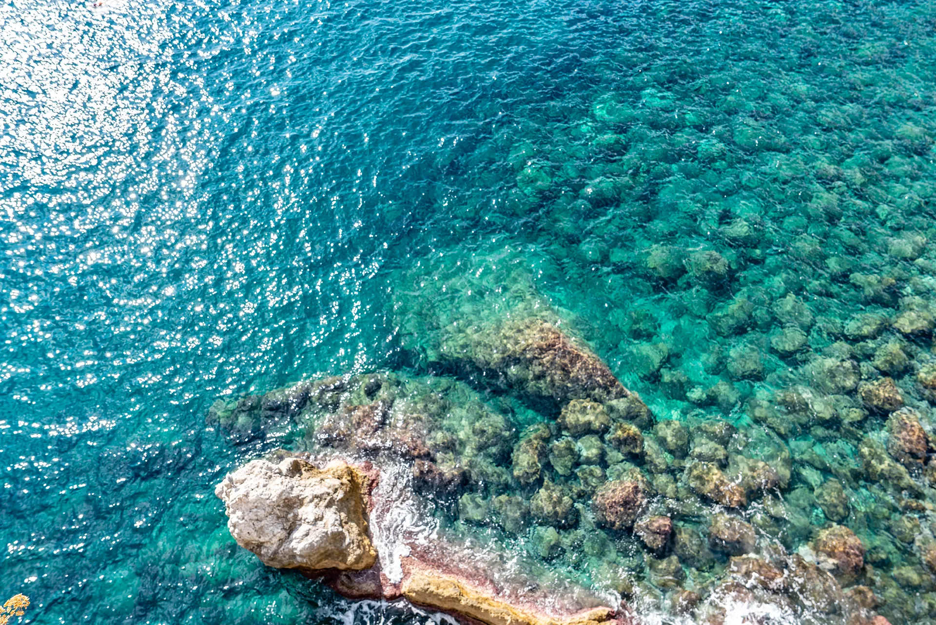 Ocean coastline from above