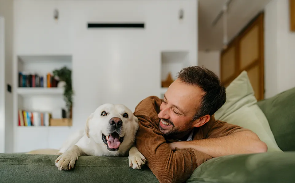 Pet care